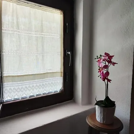 Casa Dos Laia Sobreira Formosa