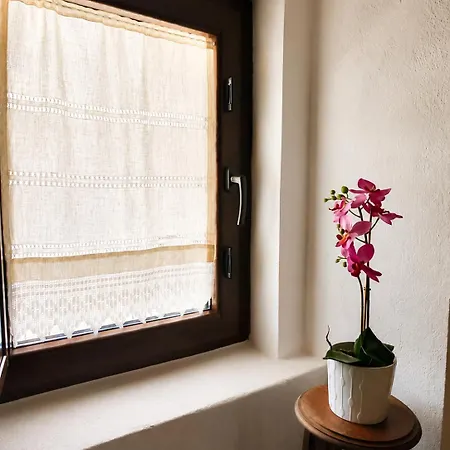 Casa Dos Laia Sobreira Formosa
