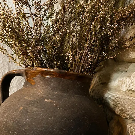 Nyaraló Casa Dos Laia *