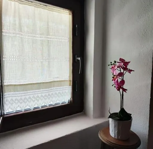 Casa Dos Laia Sobreira Formosa